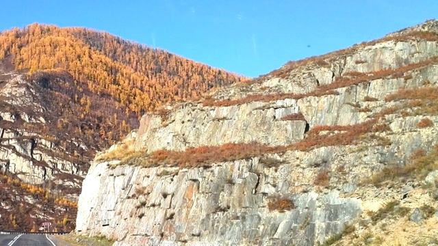 Настрой на оздоровление пальцев рук Сытин Г.Н.