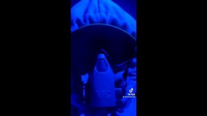 КТО ИЗ НИХ НА САМОМ ДЕЛЕ WHY BABY? РАССЛЕДОВАНИЕ