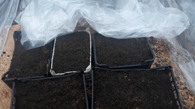 Готовим землю в ящиках под кабачки, дыни и арбузы! смотреть онлайн