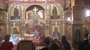 Херувимская песнь..Пение церковного хора