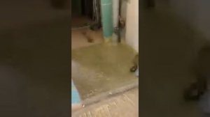 Полусухая стяжка пола во Владимире