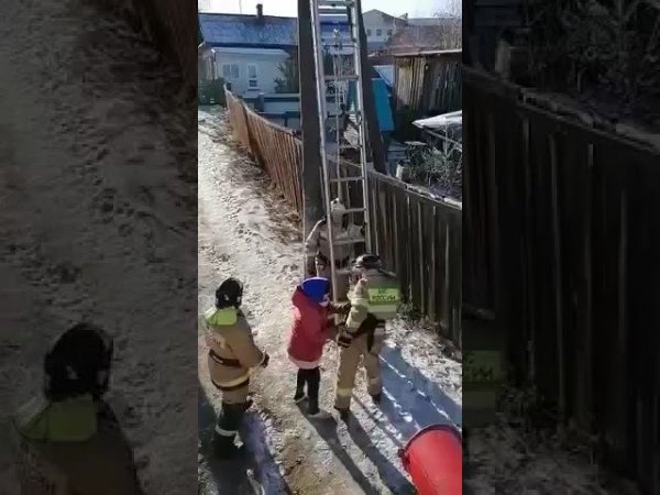Спасение кота в Куйтуне