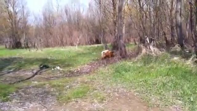 сезон купания открыт смотреть онлайн