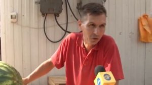 Как сохранить арбуз до Нового года