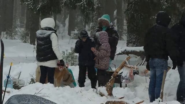 отдых зимой в лесу! смотреть онлайн