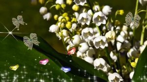 Сборник  Бесплатных Весенних Футажей для видеомонтажа HD (2021 год)