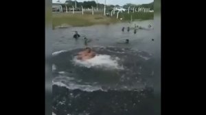 Короткие смешные видео приколы.