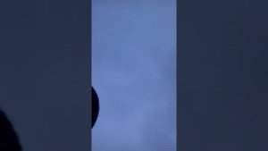 Ставим петли на сурка