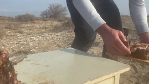 Готовим ГОВЯЖЬИ (бычьи) ХВОСТЫ в казане/садже