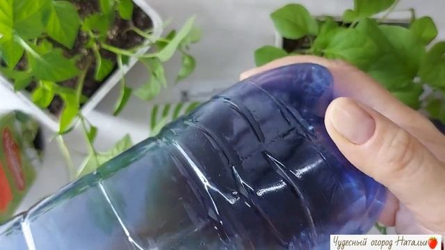 ☘?Препарат "Энерген " отличный помощник для растений смотреть онлайн