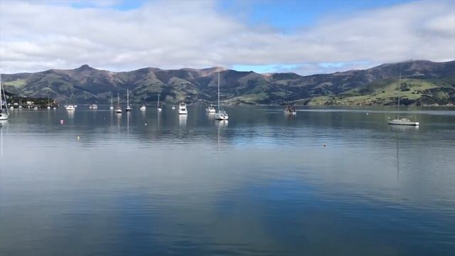 Новая Зеландия: Крайстчерч | Акароа | Дельфины смотреть онлайн