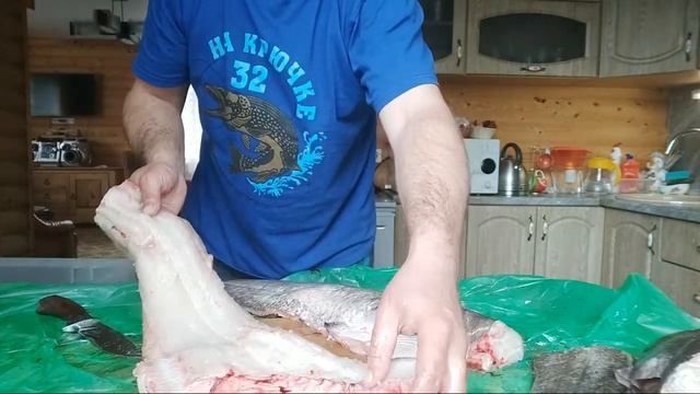 ?Разделываем правильно и готовим вкусно СОМА (Burke and cook catfish) смотреть онлайн