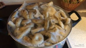 Солим Грузди горячим способом!