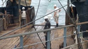 Выборка трала