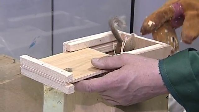 В Ярославском зоопарке звери готовятся к зимней спячке смотреть онлайн