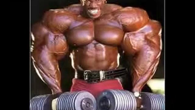 Рекорды Гинеса смотреть онлайн