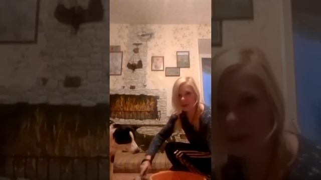 как научить Собаку мыть лапки