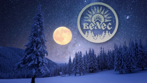 ЕЛЬ - ОБРЯДОВОЕ ДРЕВО ВЕЛЕСА * НОВОГОДНЯЯ ЁЛКА - НЕ СПЕШИ РУБИТЬ