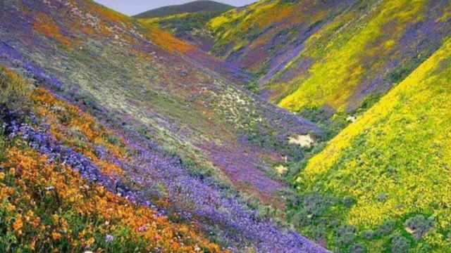 Поздравление с 8-ым марта!!! смотреть онлайн