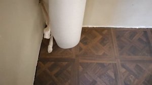 Ламинат Clic Go (Quick Step) Versalles - отзыв мастера