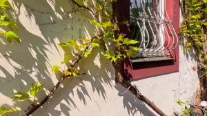 ??  В гостях у немцев в доме с 300 летней историей. Германия 20/05/2023  OK-TV