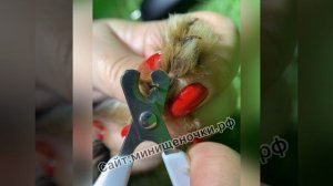 video-13-04-22-09-39.mov