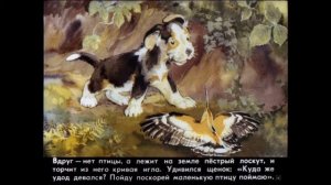 "Первая охота"  Виталий Бианка.