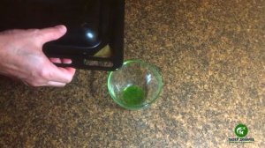 Курица с мёдом. Делаю часто, потому что вкусно.