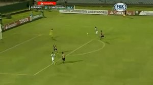 Peñarol vs Santos Laguna 0-2 Copa Libertadores 2014