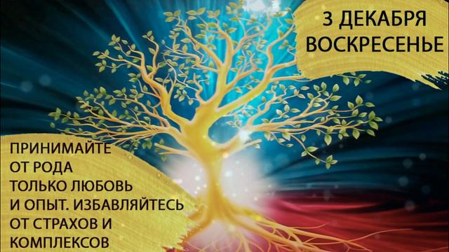 3 декабря 2023. Воскресенье. День отработки и заработка кармы