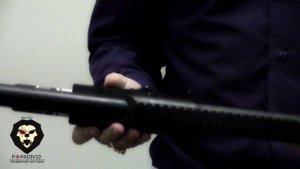 Пневматический пистолет дробовик Umarex Walther SG 9000 Купить popadiv10 ru