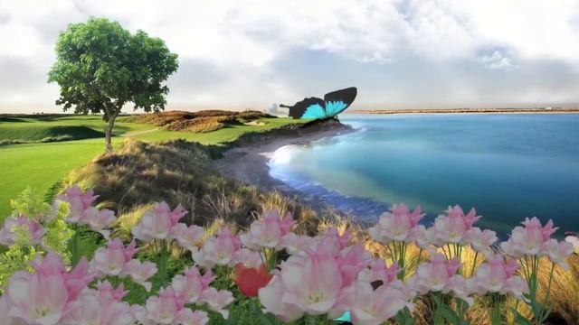 J.S. BACH PRELUDE 1 BWV 846: BACH on Synthesizers смотреть онлайн