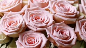 Доброе утро - Желаю доброго, бодрого, позитивного, солнечного дня