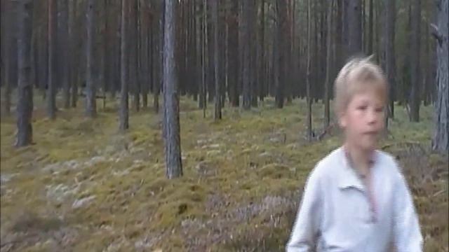 За тридевять земель