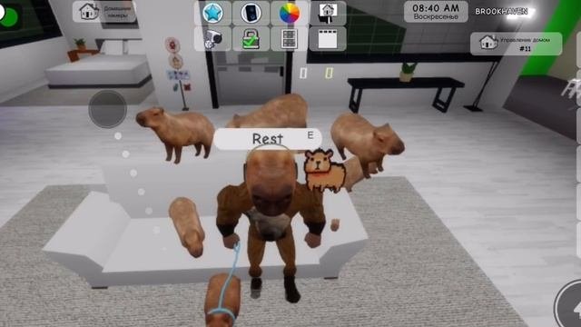У каждого будет (смешная история в ROBLOX)