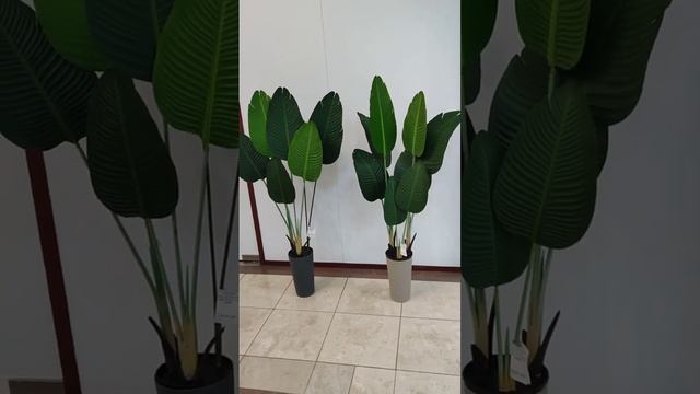 Стрелиция, искусственное растение. Высота 120см. смотреть онлайн