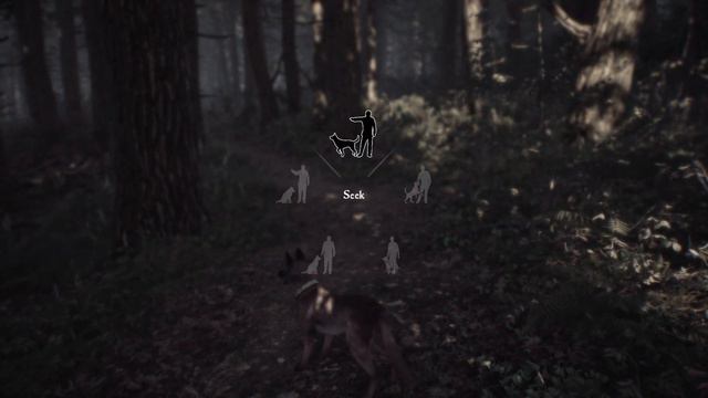 The Blair Witch - Gameplay Walkthrough Part 1 - in 4K & 60 FPS [PC MAX / ULTRA] смотреть онлайн