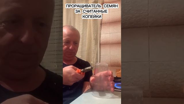 Как сделать проращиватель для семян