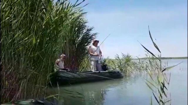 Рыбалка в Казахстане Озеро Балхаш Июнь  Бонус в конце видео