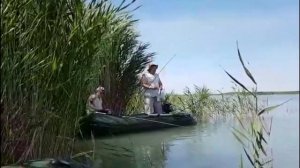 Рыбалка в Казахстане Озеро Балхаш Июнь Бонус в конце видео