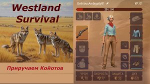 Приручаем койотов