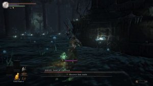 Dark Souls III - Archthrones: Aldrich, Saint of the Deep Boss Fight