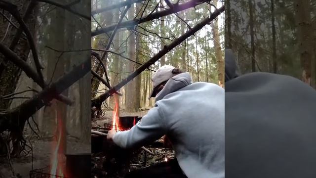 аскет на связи,Я В ЛЕСУ 2/05/2022 смотреть онлайн