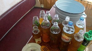 Квас из берёзового сока в домашних условиях. Квас на мёде, сушёном боярышнике, шиповнике.