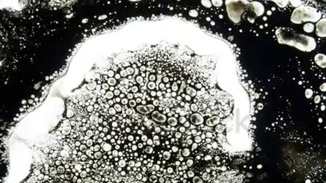 Fabulous Patterns | Video Footage | Shutterstock смотреть онлайн