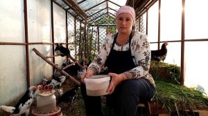 Нужны ли курам ОТРУБИ. В чем польза или вред отрубей.