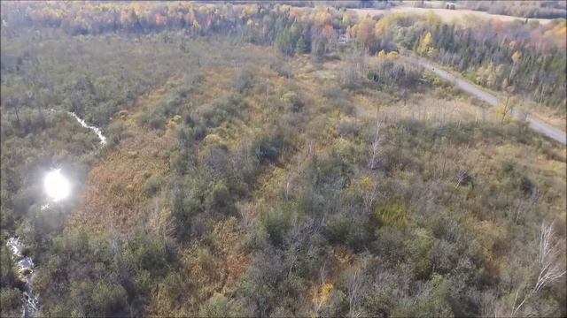 5216 Queensville смотреть онлайн