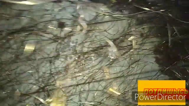 Нефтекамск разбор меди всякий штук и транформаторов смотреть онлайн