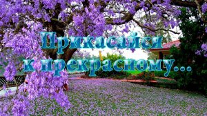 Прикасайся к прекрасному*