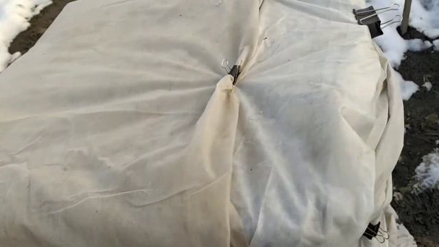 УТЕПЛЯЕМ ГОРТЕНЗИЮ НА ЗИМУ смотреть онлайн